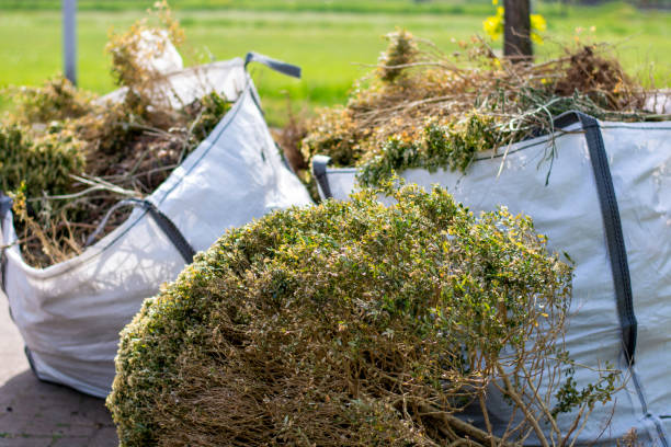 Best Commercial Junk Removal  in Bystrom, CA